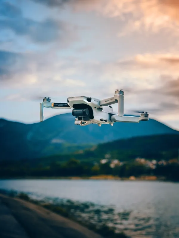 Drone Surveillance and Monitoring for Expansive Waterfront Estates