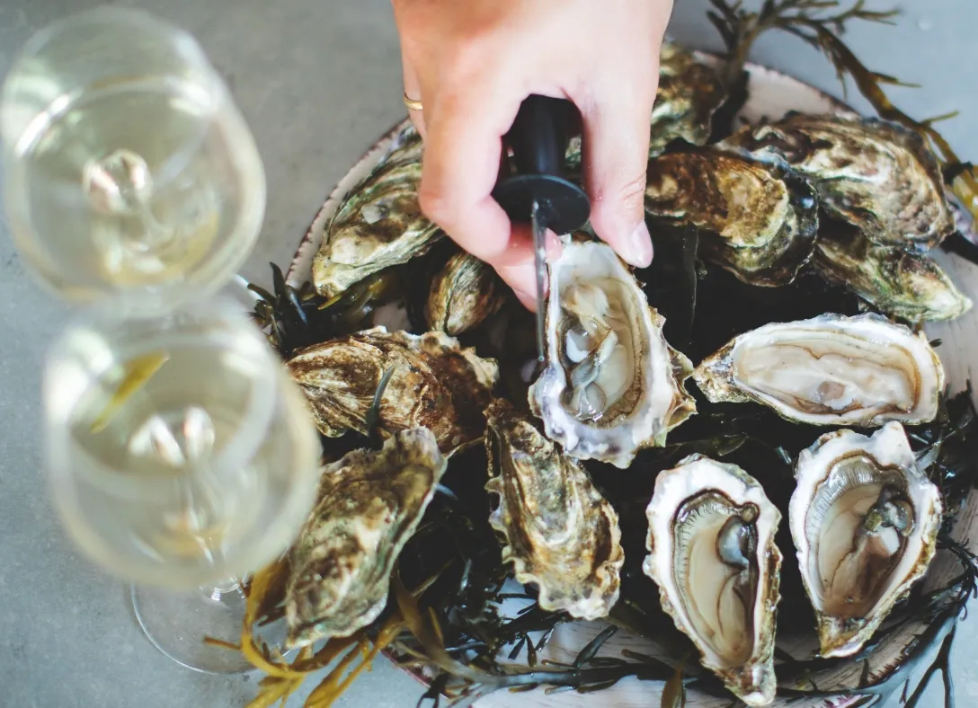 Oyster Experience