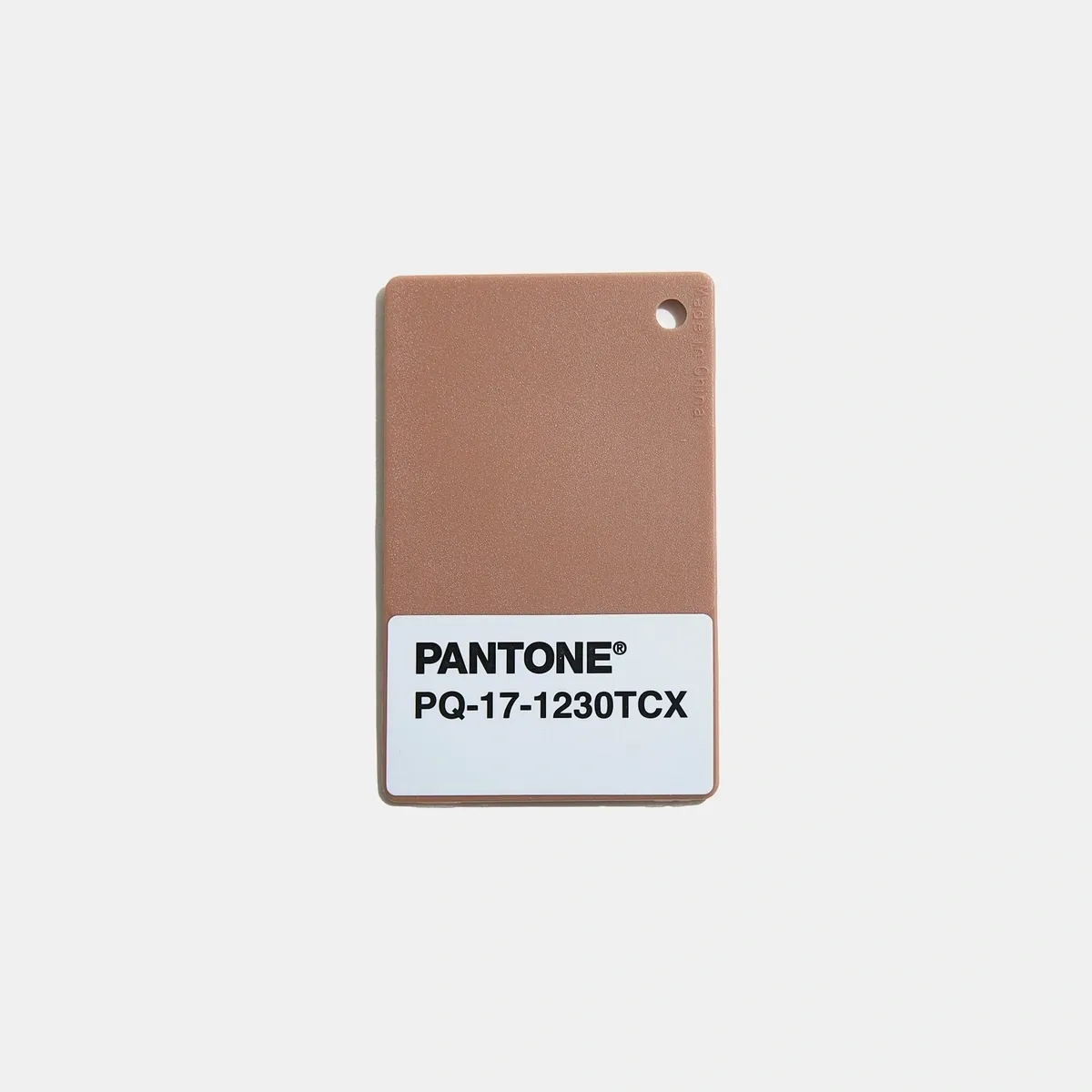 Pantone Color of the Year 2025: PANTONE 17-1230 Mocha Mousse