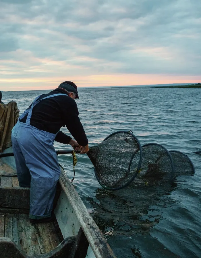 Seafood Industry Challenges of Which We Should All Be Aware